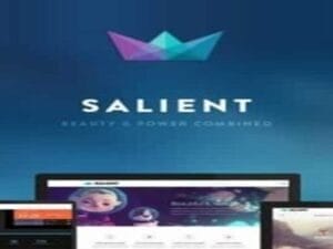 Salient - Responsive Multi-Purpose Theme