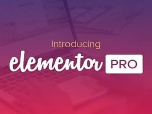 Elementor Pro License Key